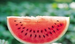 冰雨火娱乐吃瓜,揭秘娱乐圈吃瓜背后的真相